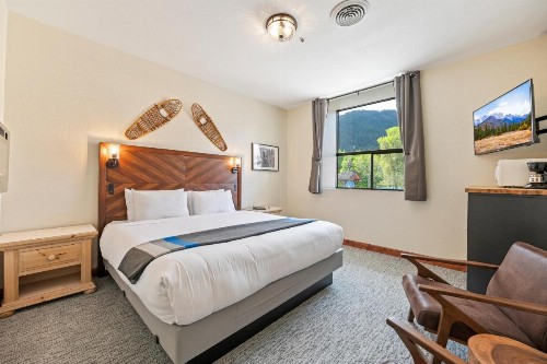 Bavarian Ritz Hotel - image 11