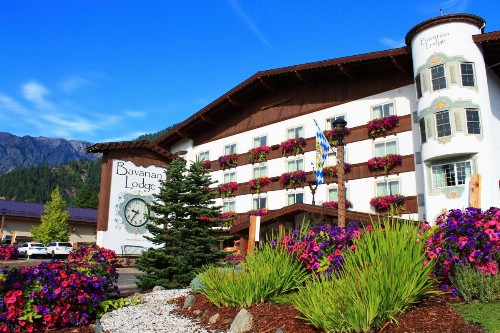 Bavarian Lodge - image 7