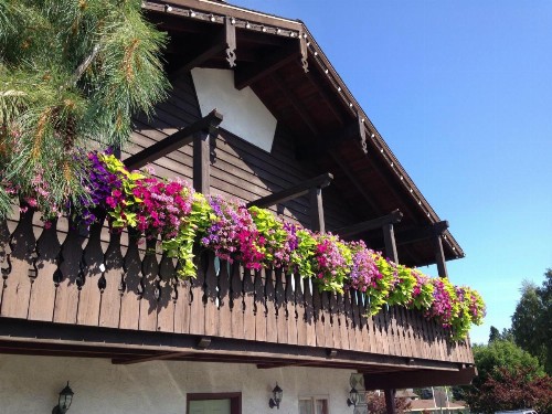 Linderhof Inn - image 9