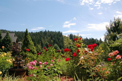 Fox Den Bed & Breakfast - image 6