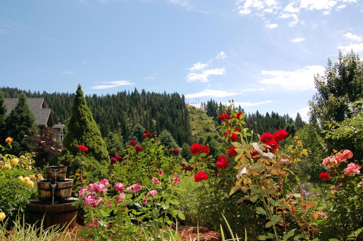 Fox Den Bed & Breakfast - image 6