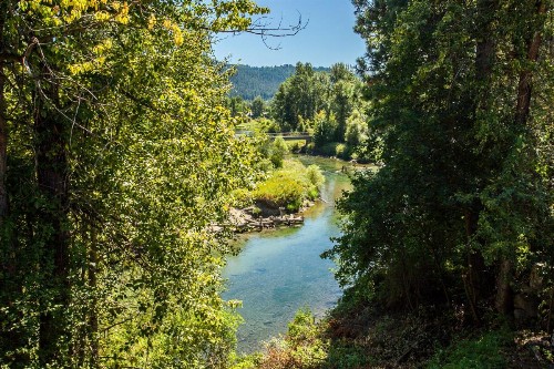 Storybook Riverside Inn - image 16