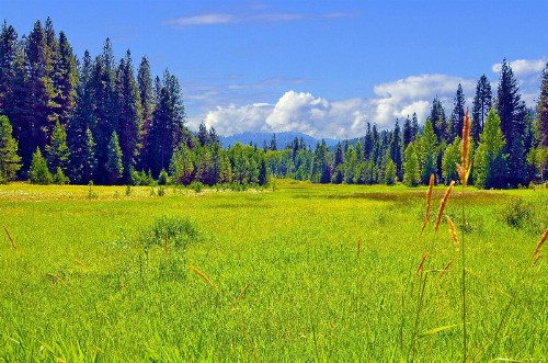 Leavenworth Camping Resort Tiny House Adeline - image 10
