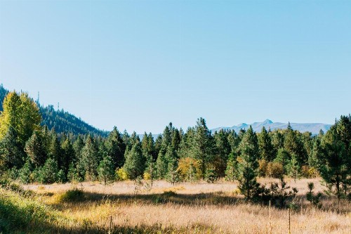 Pine River Ranch B&B - image 15