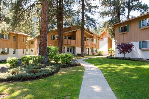 Grizzly Hideaway - image 3