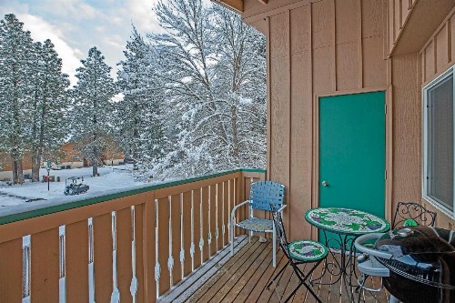 Alpine Village - image 7