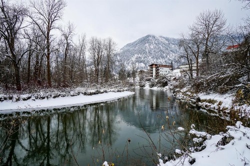 Carter Haus - image 10