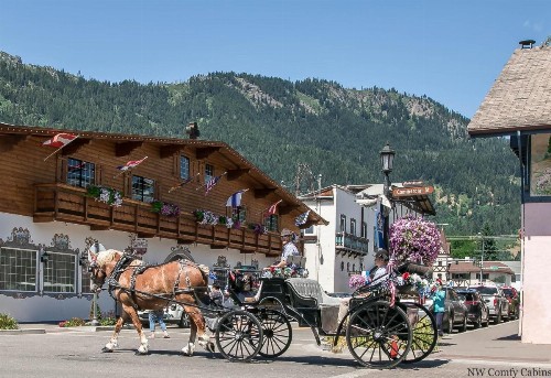 Tivoli Chalet - image 8