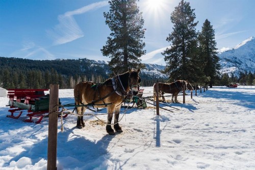 Aspen Suites 505: Enchantment Abode - image 10