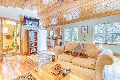 River Song Cabin - image 5