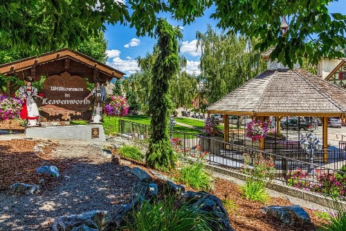 River Song Cabin - image 8