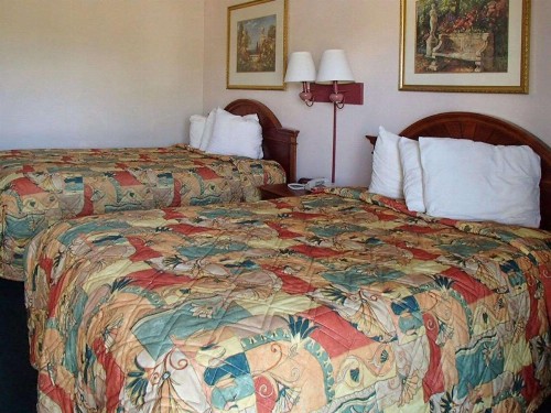 Rodeway Inn Leesburg Chain of Lakes - image 2