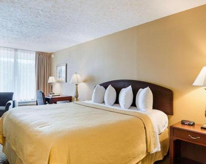 Quality Inn - image 12