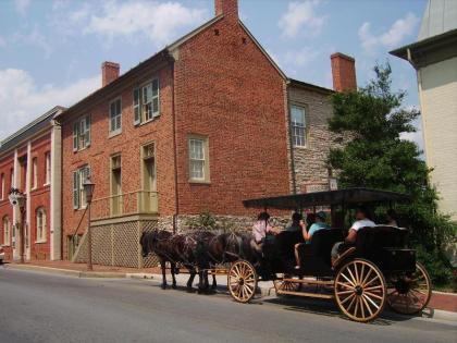 A B&B at Llewellyn Lodge - image 8