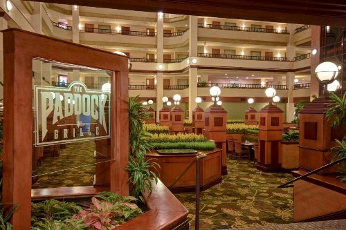 Embassy Suites Lexington - image 25