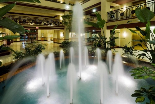 Embassy Suites Lexington - image 48