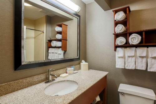 Hampton Inn Lexington South - image 19