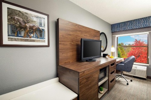Hampton Inn Lexington South - image 30