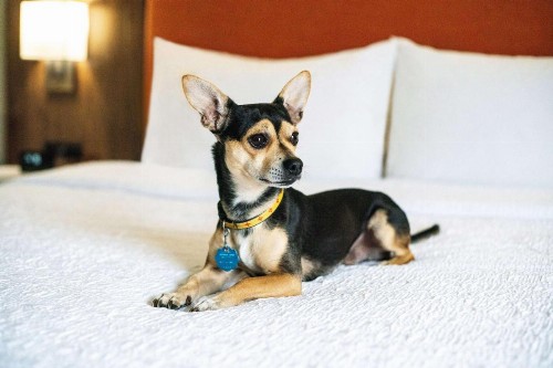 Hampton Inn Lexington South - image 34
