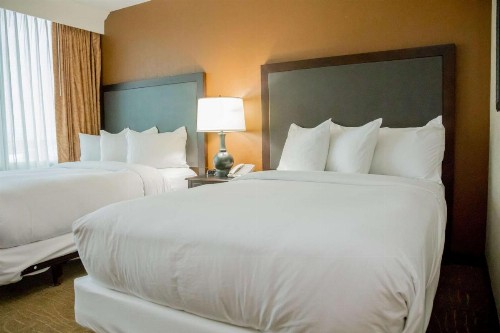 Embassy Suites by Hilton Lexington Green - image 13
