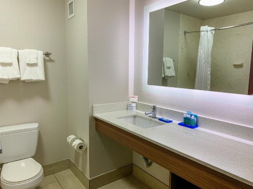 Holiday Inn Express & Suites Lexington Downtown Area-Keeneland an IHG Hotel - image 11