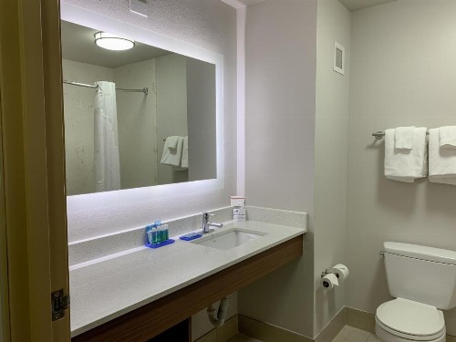 Holiday Inn Express & Suites Lexington Downtown Area-Keeneland an IHG Hotel - image 20