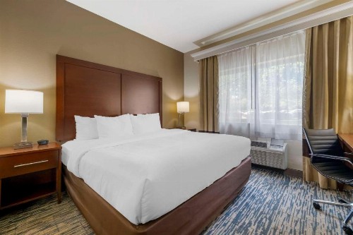 Comfort Suites Keeneland - image 23