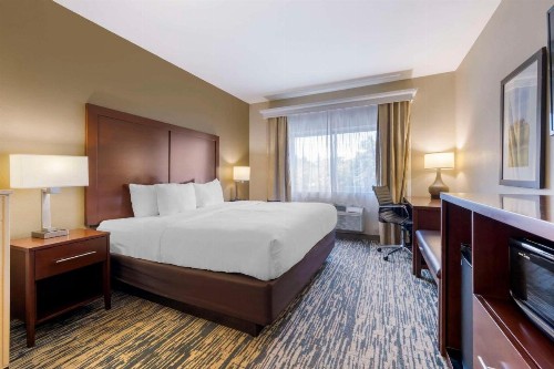 Comfort Suites Keeneland - image 27