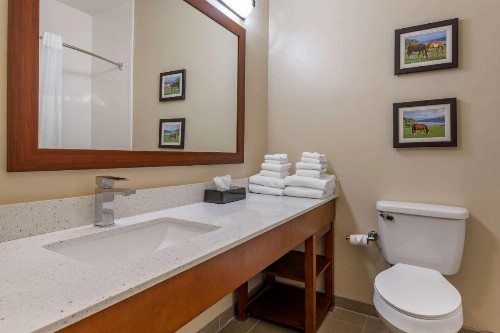 Comfort Suites Keeneland - image 3