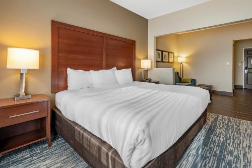 Comfort Suites Keeneland - image 4
