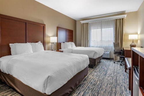 Comfort Suites Keeneland - image 7