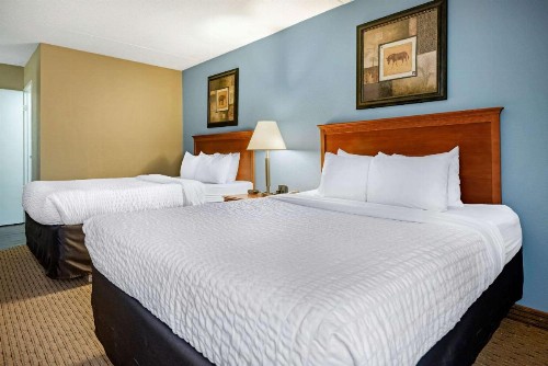 Clarion Hotel Lexington - image 4