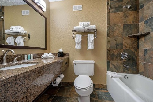 Clarion Hotel Lexington - image 46