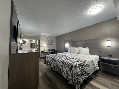 Red Roof Inn Lexington South - image 14