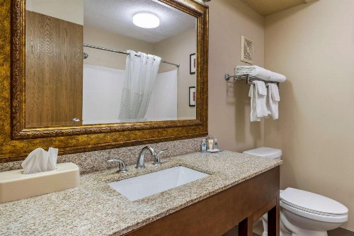 Comfort Inn Lexington Southeast - image 10