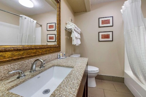 Comfort Inn Lexington Southeast - image 22