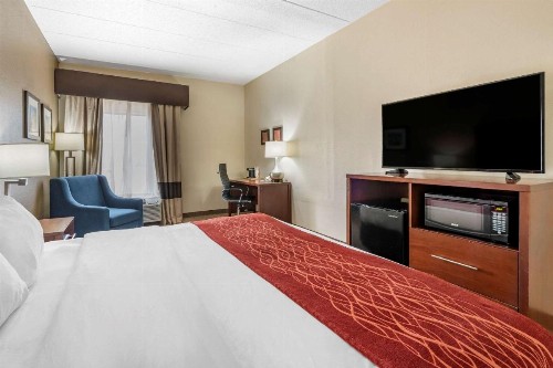 Comfort Inn Lexington Southeast - image 3