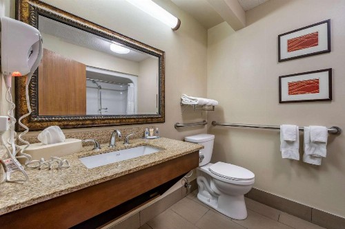 Comfort Inn Lexington Southeast - image 33