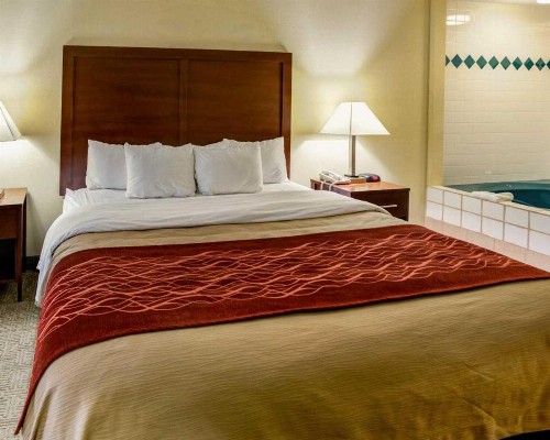 Comfort Inn Lexington Southeast - image 46
