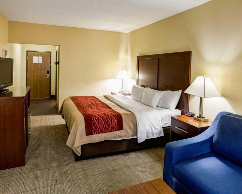 Comfort Inn Lexington Southeast - image 7