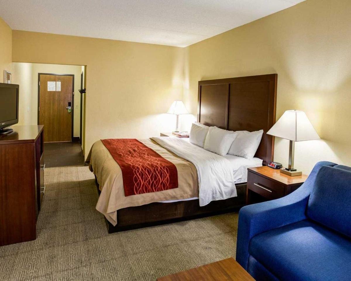 Comfort Inn Lexington Southeast - image 7