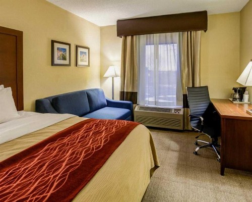 Comfort Inn Lexington Southeast - image 9