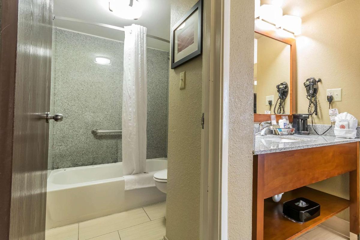 Comfort Inn & Suites Lexington - image 2