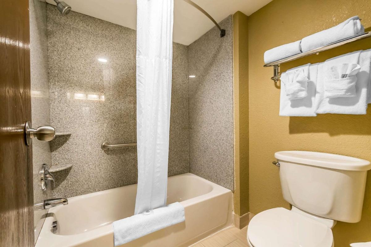 Comfort Inn & Suites Lexington - image 3