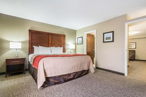 Comfort Inn & Suites Lexington - image 34