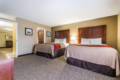 Comfort Inn & Suites Lexington - image 35