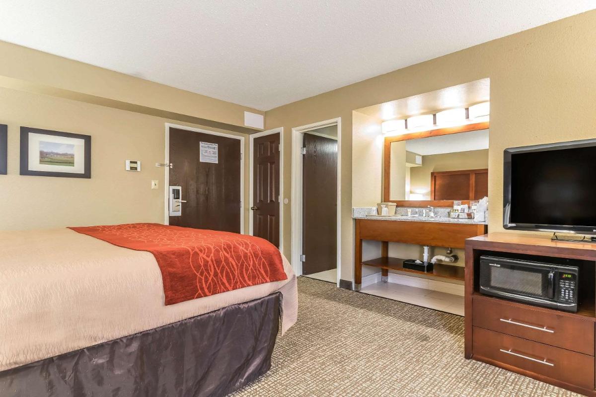 Comfort Inn & Suites Lexington - image 6