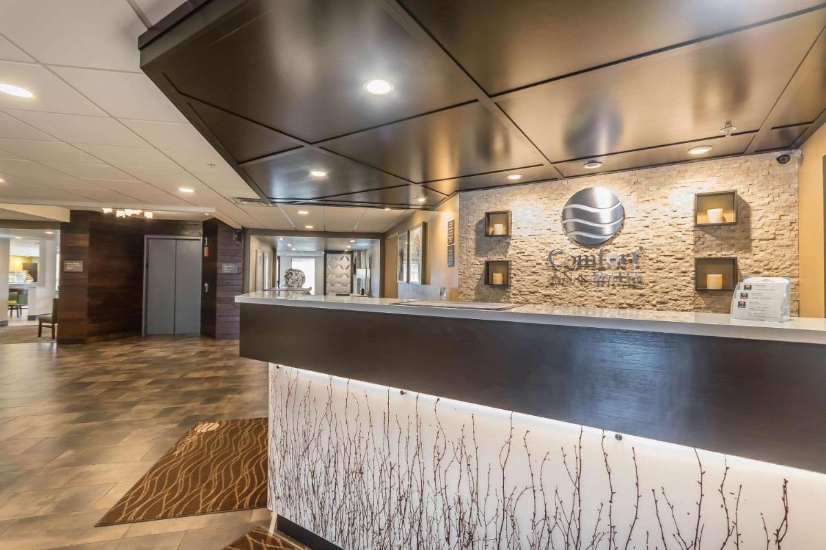 Comfort Inn & Suites Lexington - image 7
