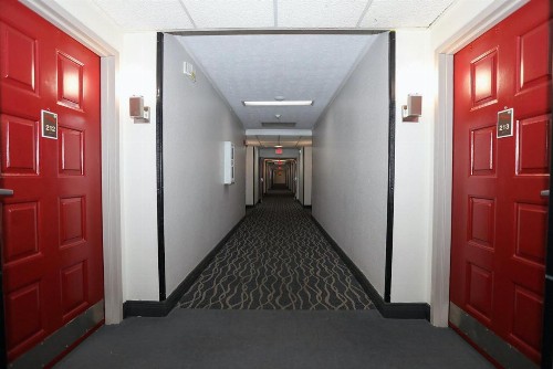 SureStay Plus Hotel by Best Western Lexington - image 21