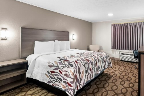 SureStay Plus Hotel by Best Western Lexington - image 23